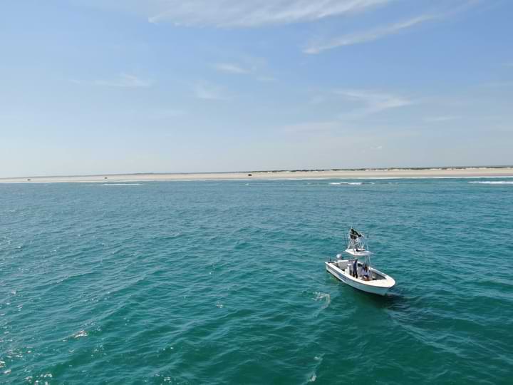 Things To Do SouthWind Charters